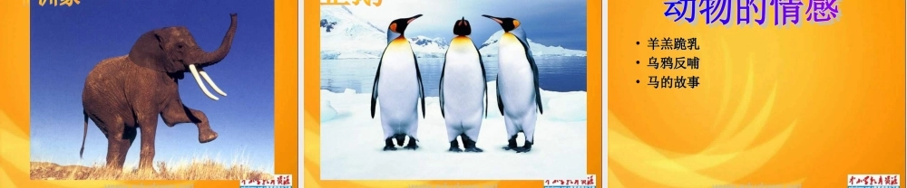 青岛小学科学六上《20、蚯蚓找家》PPT课件 (3)【加微信公众号 jiaoxuewuyou 九折优惠 qq 1119139686】.ppt