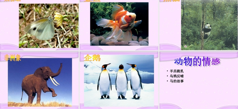 青岛小学科学六上《20、蚯蚓找家》PPT课件 (4)【加微信公众号 jiaoxuewuyou 九折优惠 qq 1119139686】.ppt