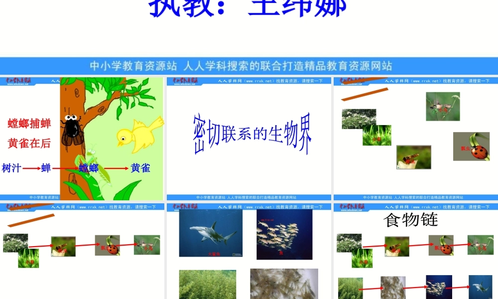青岛小学科学六上《23、密切联系的生物界》PPT课件 (8)【加微信公众号 jiaoxuewuyou 九折优惠 qq 1119139686】.ppt