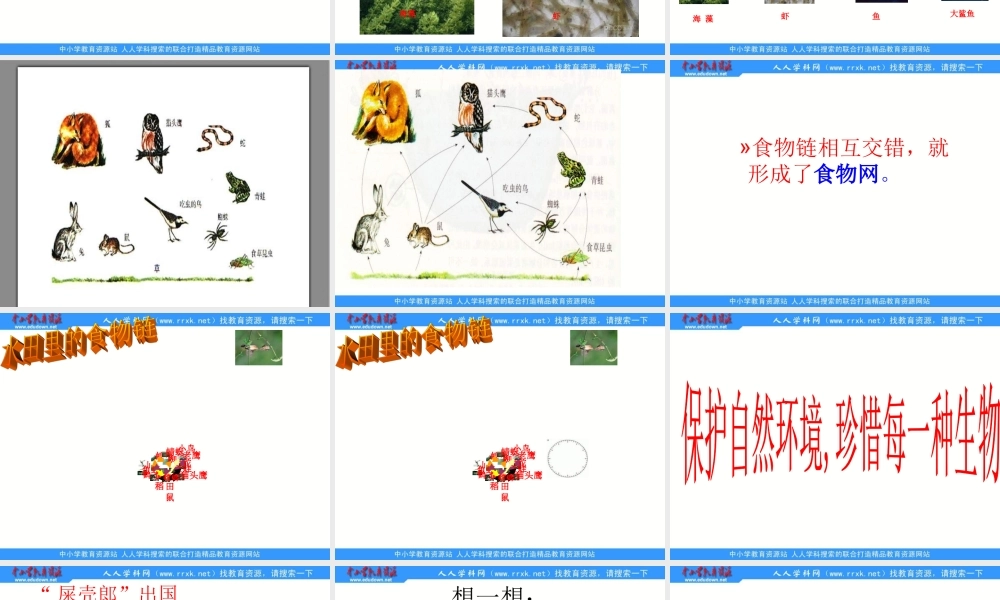 青岛小学科学六上《23、密切联系的生物界》PPT课件 (8)【加微信公众号 jiaoxuewuyou 九折优惠 qq 1119139686】.ppt