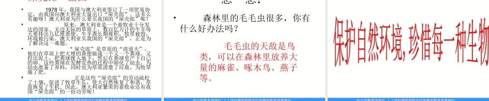 青岛小学科学六上《23、密切联系的生物界》PPT课件 (8)【加微信公众号 jiaoxuewuyou 九折优惠 qq 1119139686】.ppt