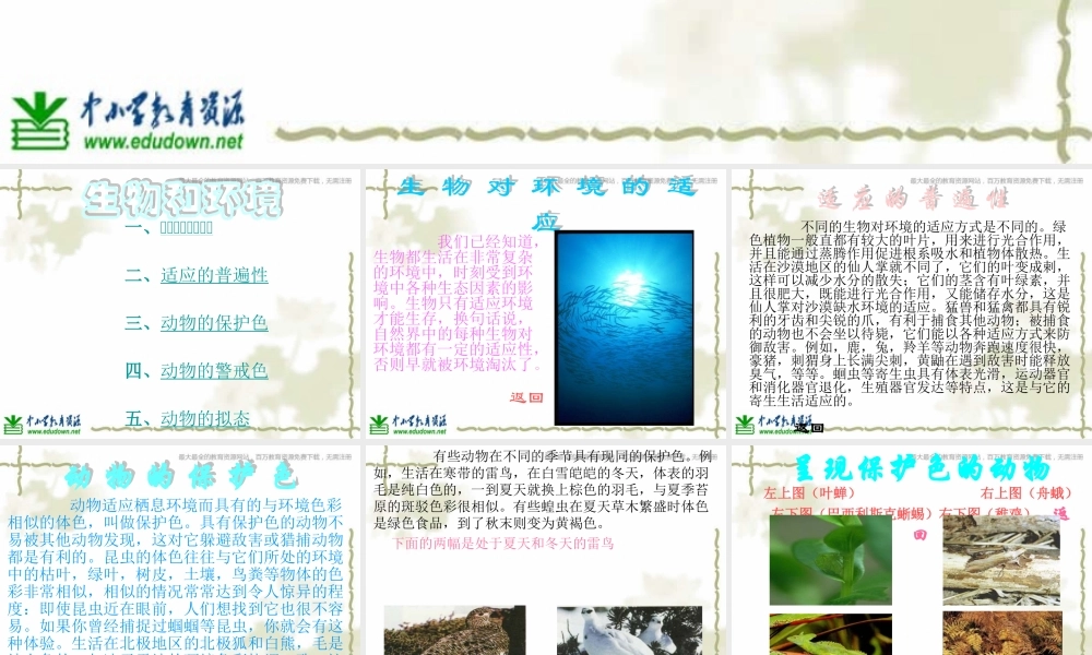 青岛小学科学六上《21、变色龙》PPT课件 (7)【加微信公众号 jiaoxuewuyou 九折优惠 qq 1119139686】.ppt