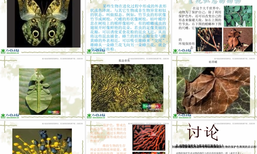 青岛小学科学六上《21、变色龙》PPT课件 (7)【加微信公众号 jiaoxuewuyou 九折优惠 qq 1119139686】.ppt