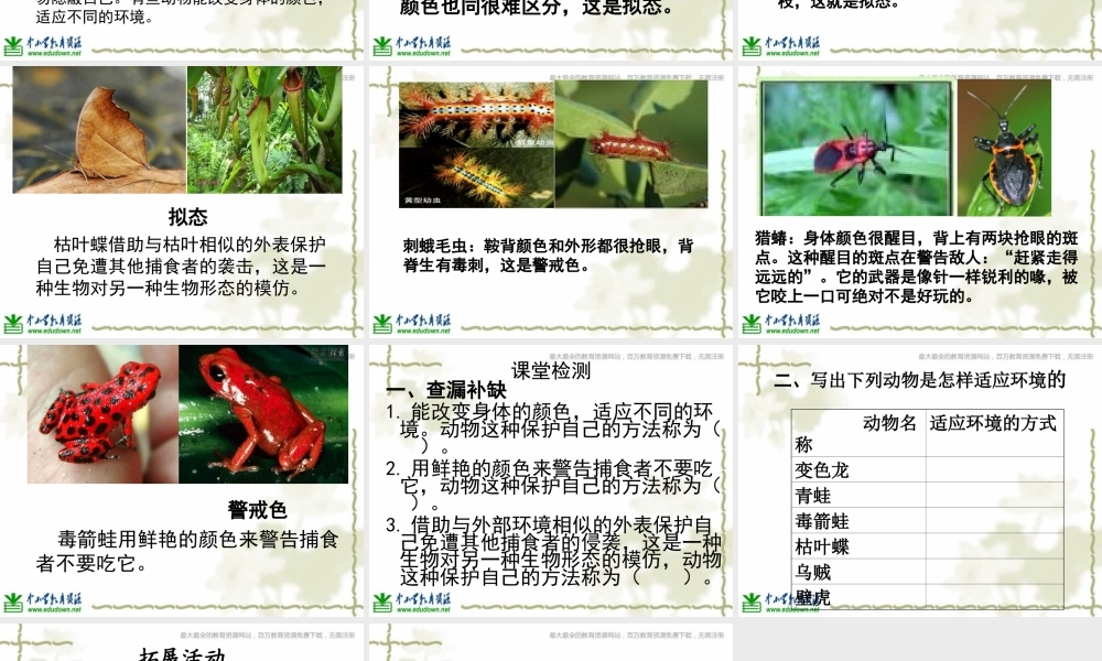 青岛小学科学六上《21、变色龙》PPT课件 (9)【加微信公众号 jiaoxuewuyou 九折优惠 qq 1119139686】.ppt