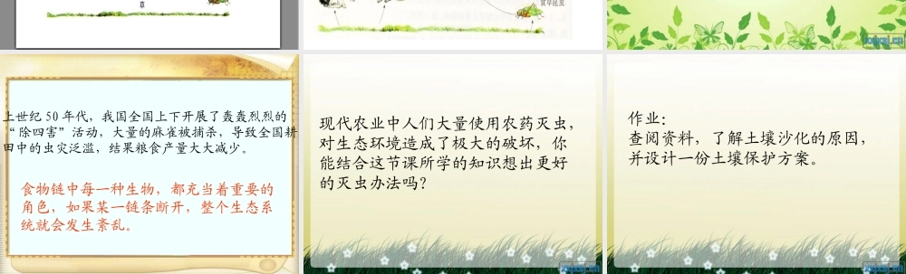 青岛小学科学六上《23、密切联系的生物界》PPT课件 (14)【加微信公众号 jiaoxuewuyou 九折优惠 qq 1119139686】.ppt