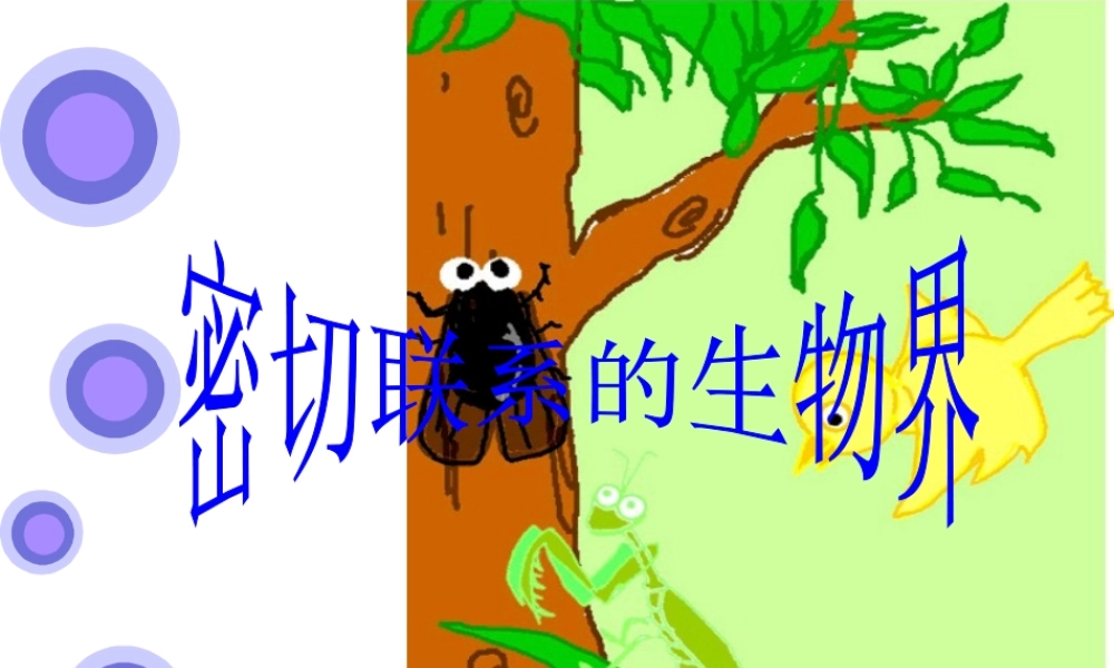 青岛小学科学六上《23、密切联系的生物界》PPT课件 (3)【加微信公众号 jiaoxuewuyou 九折优惠 qq 1119139686】.ppt