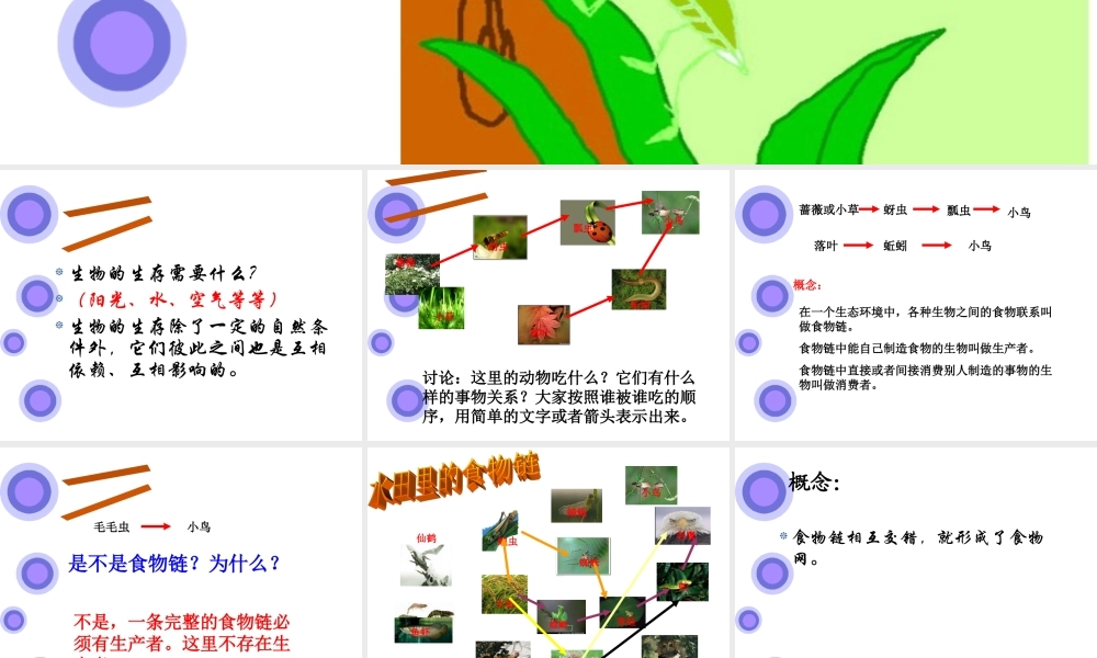 青岛小学科学六上《23、密切联系的生物界》PPT课件 (3)【加微信公众号 jiaoxuewuyou 九折优惠 qq 1119139686】.ppt