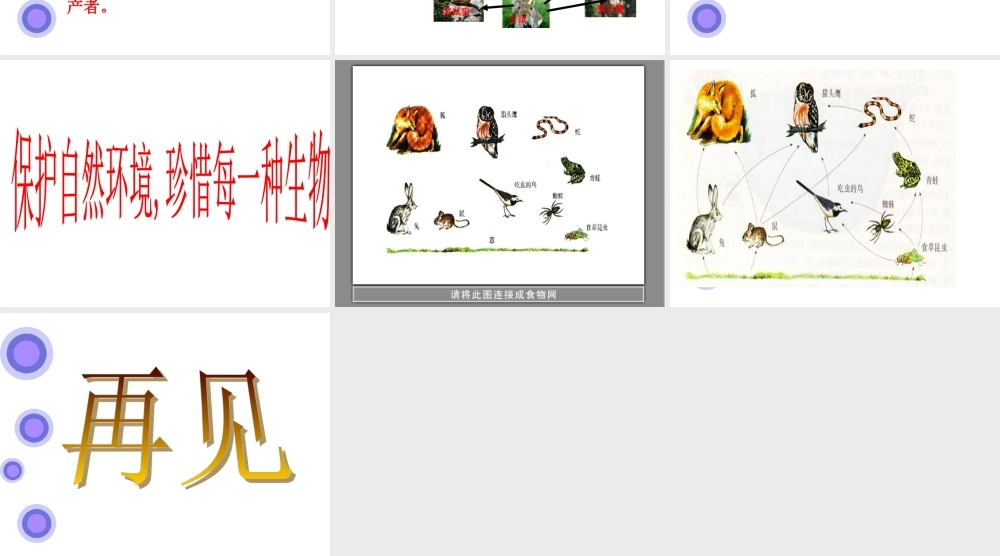 青岛小学科学六上《23、密切联系的生物界》PPT课件 (3)【加微信公众号 jiaoxuewuyou 九折优惠 qq 1119139686】.ppt