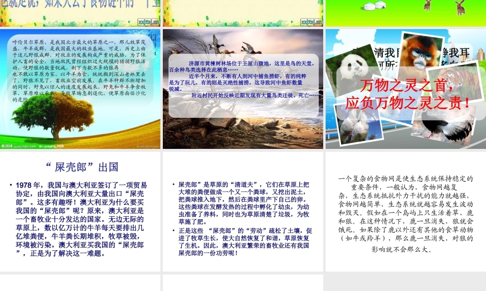 青岛小学科学六上《23、密切联系的生物界》PPT课件 (13)【加微信公众号 jiaoxuewuyou 九折优惠 qq 1119139686】.ppt