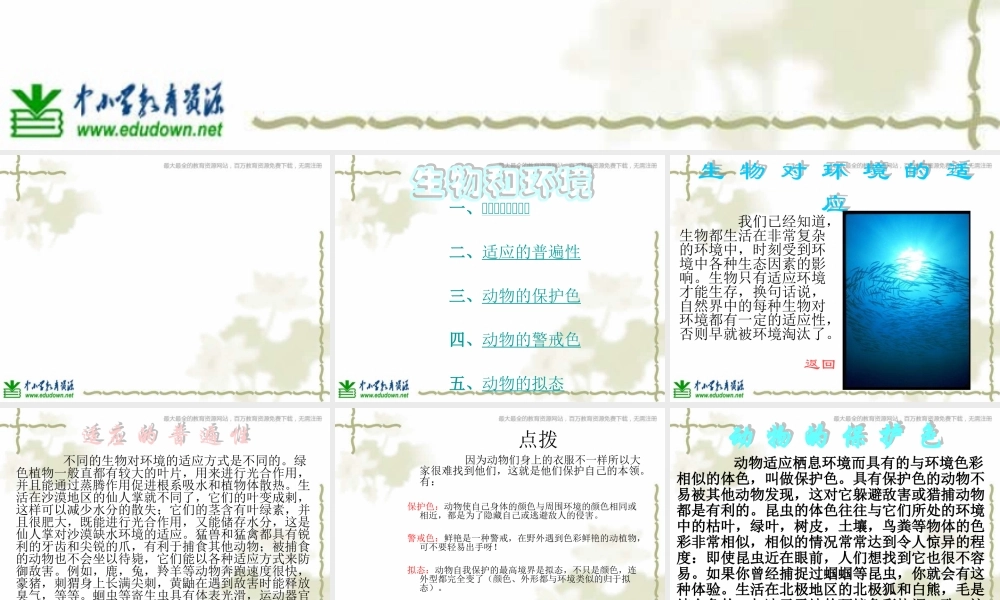 青岛小学科学六上《21、变色龙》PPT课件 (10)【加微信公众号 jiaoxuewuyou 九折优惠 qq 1119139686】.ppt