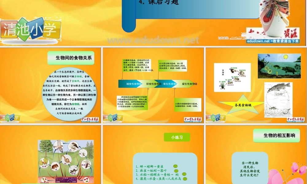 青岛小学科学六上《23、密切联系的生物界》PPT课件 (7)【加微信公众号 jiaoxuewuyou 九折优惠 qq 1119139686】.ppt