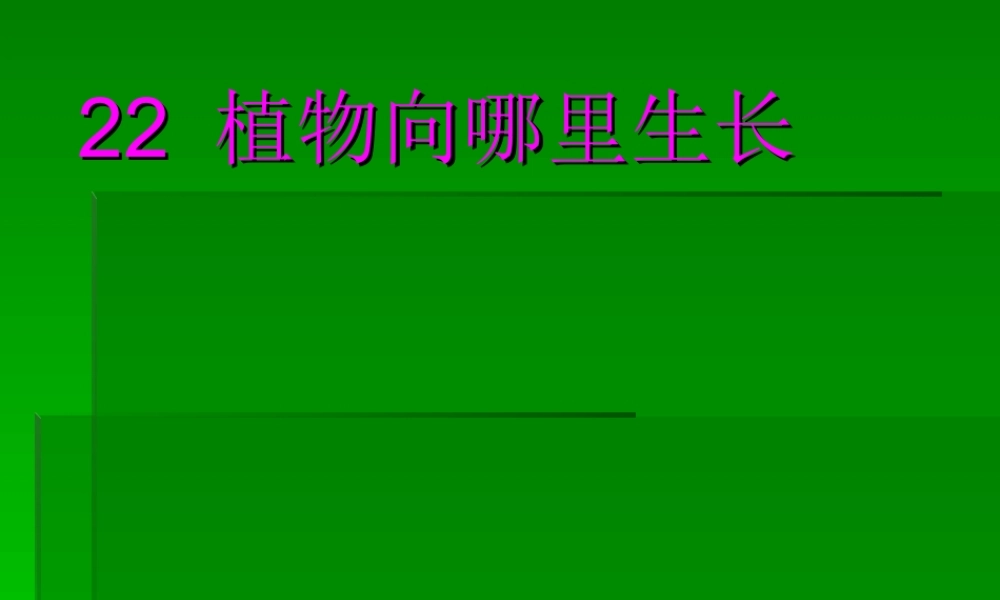 青岛小学科学六上《22、植物向哪里生长》PPT课件【加微信公众号 jiaoxuewuyou 九折优惠 qq 1119139686】.ppt