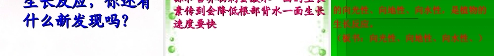 青岛小学科学六上《22、植物向哪里生长》PPT课件【加微信公众号 jiaoxuewuyou 九折优惠 qq 1119139686】.ppt