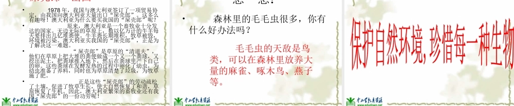 青岛小学科学六上《23、密切联系的生物界》PPT课件 (1)【加微信公众号 jiaoxuewuyou 九折优惠 qq 1119139686】.ppt