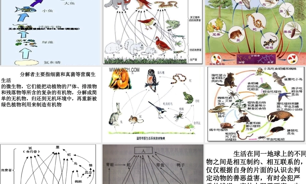 青岛小学科学六上《23、密切联系的生物界》PPT课件 (11)【加微信公众号 jiaoxuewuyou 九折优惠 qq 1119139686】.ppt