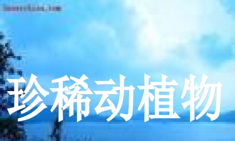 青岛小学科学六上《24、珍稀动植物》PPT课件 (4)【加微信公众号 jiaoxuewuyou 九折优惠 qq 1119139686】.ppt