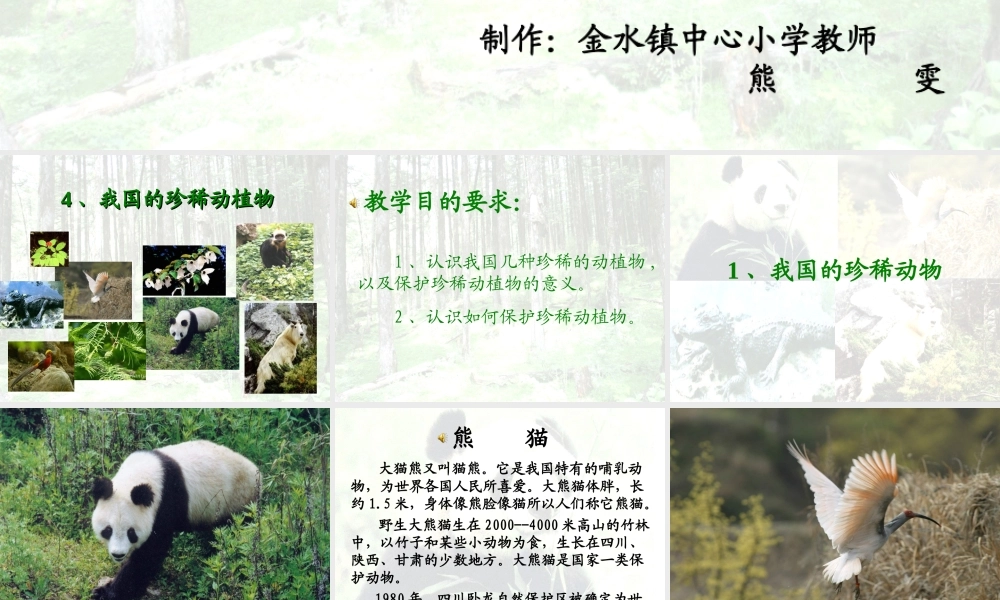 青岛小学科学六上《24、珍稀动植物》PPT课件 (1)【加微信公众号 jiaoxuewuyou 九折优惠 qq 1119139686】.ppt