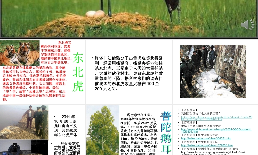 青岛小学科学六上《24、珍稀动植物》PPT课件 (3)【加微信公众号 jiaoxuewuyou 九折优惠 qq 1119139686】.ppt