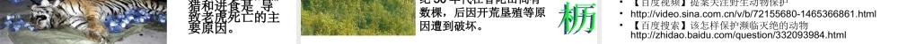 青岛小学科学六上《24、珍稀动植物》PPT课件 (3)【加微信公众号 jiaoxuewuyou 九折优惠 qq 1119139686】.ppt