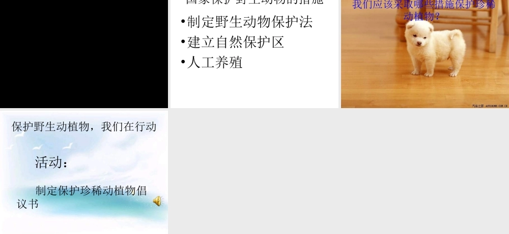 青岛小学科学六上《24、珍稀动植物》PPT课件 (8)【加微信公众号 jiaoxuewuyou 九折优惠 qq 1119139686】.ppt