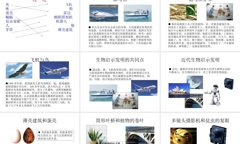 青岛小学科学六上《25、生物的启示》PPT课件 (3)【加微信公众号 jiaoxuewuyou 九折优惠 qq 1119139686】.ppt