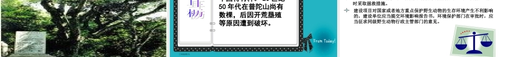 青岛小学科学六上《24、珍稀动植物》PPT课件 (7)【加微信公众号 jiaoxuewuyou 九折优惠 qq 1119139686】.ppt