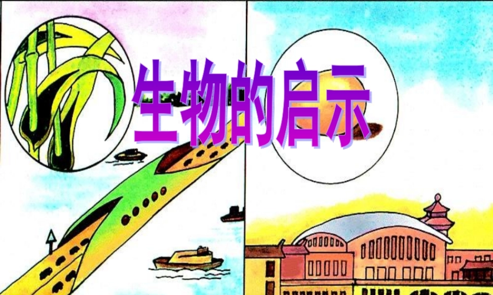 青岛小学科学六上《25、生物的启示》PPT课件 (2)【加微信公众号 jiaoxuewuyou 九折优惠 qq 1119139686】.ppt