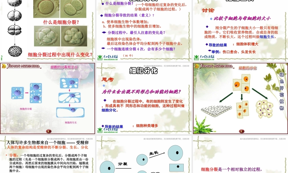 青岛小学科学六下《1. 细胞》PPT课件 (1)【加微信公众号 jiaoxuewuyou 九折优惠 qq 1119139686】.ppt