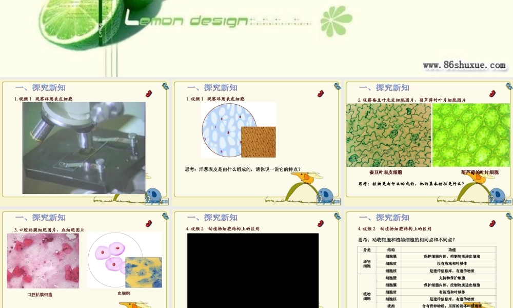 青岛小学科学六下《1. 细胞》PPT课件 (4)【加微信公众号 jiaoxuewuyou 九折优惠 qq 1119139686】.ppt