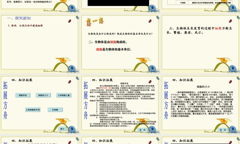 青岛小学科学六下《1. 细胞》PPT课件 (4)【加微信公众号 jiaoxuewuyou 九折优惠 qq 1119139686】.ppt