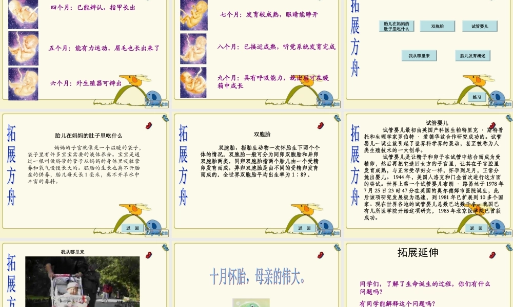 青岛小学科学六下《2. 我从哪里来》PPT课件 (4)【加微信公众号 jiaoxuewuyou 九折优惠 qq 1119139686】.ppt