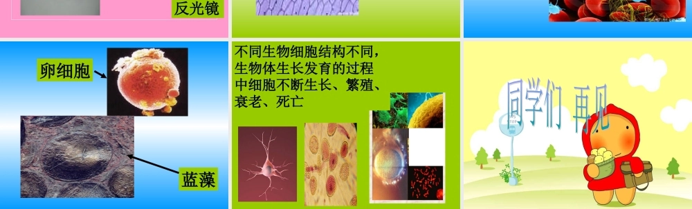 青岛小学科学六下《1. 细胞》PPT课件 (3)【加微信公众号 jiaoxuewuyou 九折优惠 qq 1119139686】.ppt