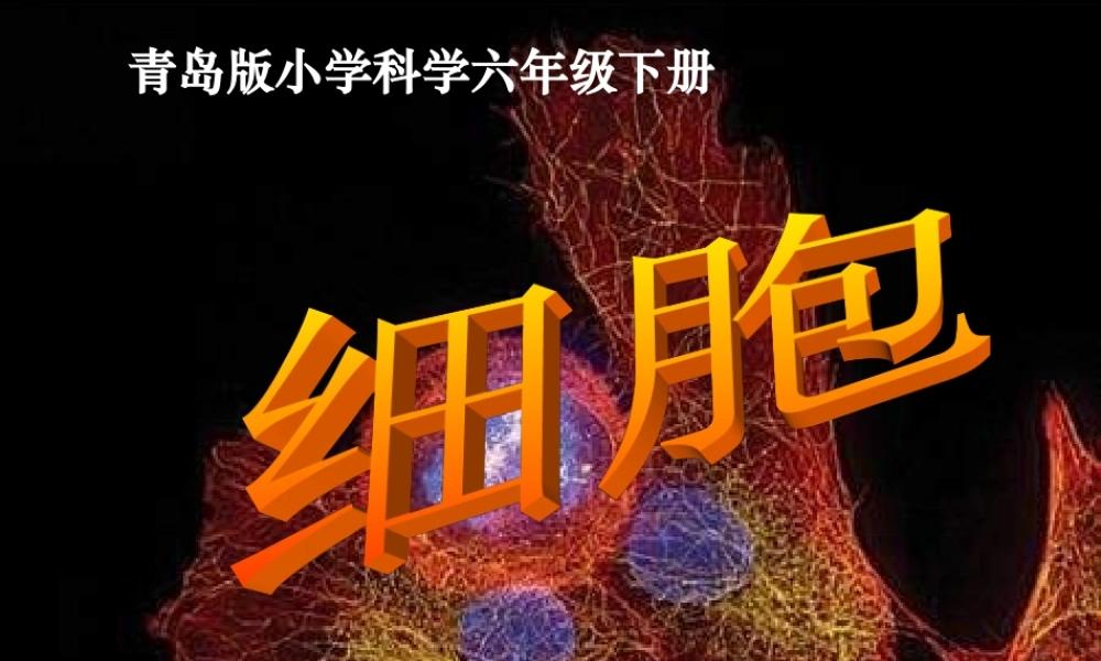 青岛小学科学六下《1. 细胞》PPT课件 (5)【加微信公众号 jiaoxuewuyou 九折优惠 qq 1119139686】.ppt