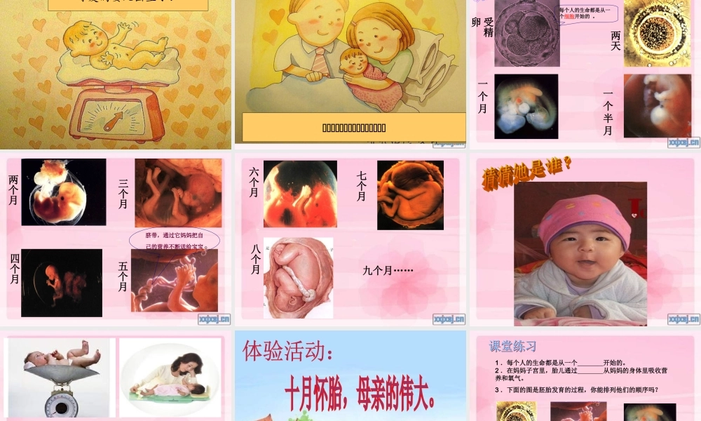 青岛小学科学六下《2. 我从哪里来》PPT课件 (5)【加微信公众号 jiaoxuewuyou 九折优惠 qq 1119139686】.ppt