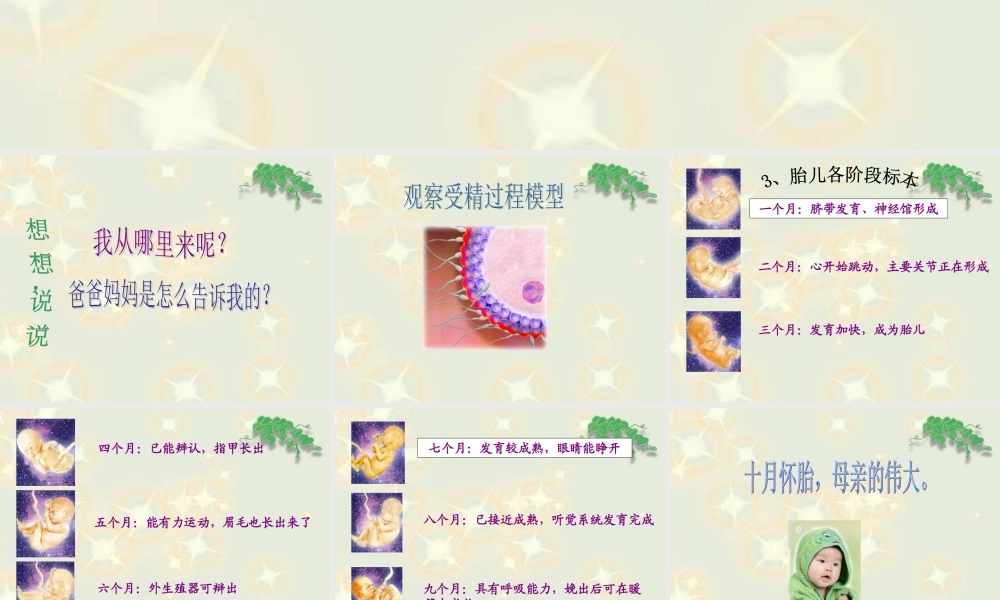 青岛小学科学六下《2. 我从哪里来》PPT课件 (1)【加微信公众号 jiaoxuewuyou 九折优惠 qq 1119139686】.ppt