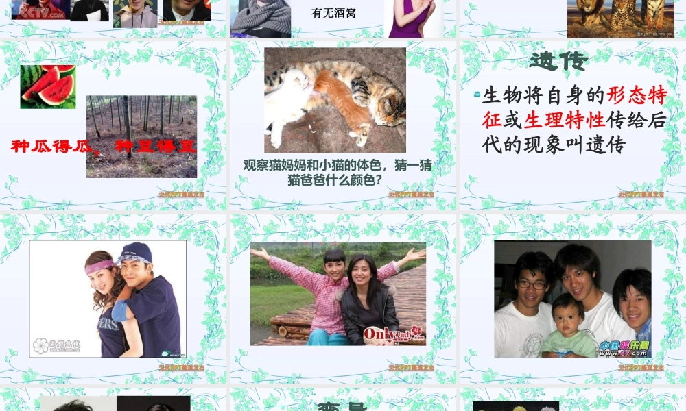 青岛小学科学六下《4. 我像谁》PPT课件 (4)【加微信公众号 jiaoxuewuyou 九折优惠 qq 1119139686】.ppt