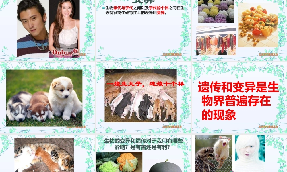 青岛小学科学六下《4. 我像谁》PPT课件 (4)【加微信公众号 jiaoxuewuyou 九折优惠 qq 1119139686】.ppt