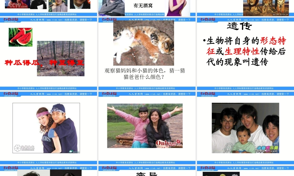 青岛小学科学六下《4. 我像谁》PPT课件 (3)【加微信公众号 jiaoxuewuyou 九折优惠 qq 1119139686】.ppt