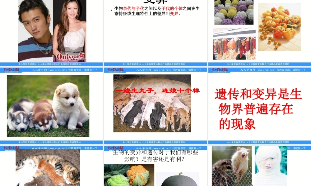 青岛小学科学六下《4. 我像谁》PPT课件 (3)【加微信公众号 jiaoxuewuyou 九折优惠 qq 1119139686】.ppt