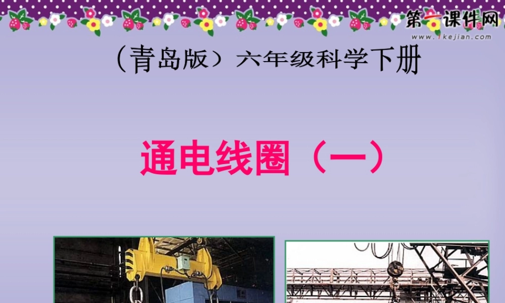 青岛小学科学六下《8、通电的线圈（一）》PPT课件 (4)【加微信公众号 jiaoxuewuyou 九折优惠 qq 1119139686】.ppt