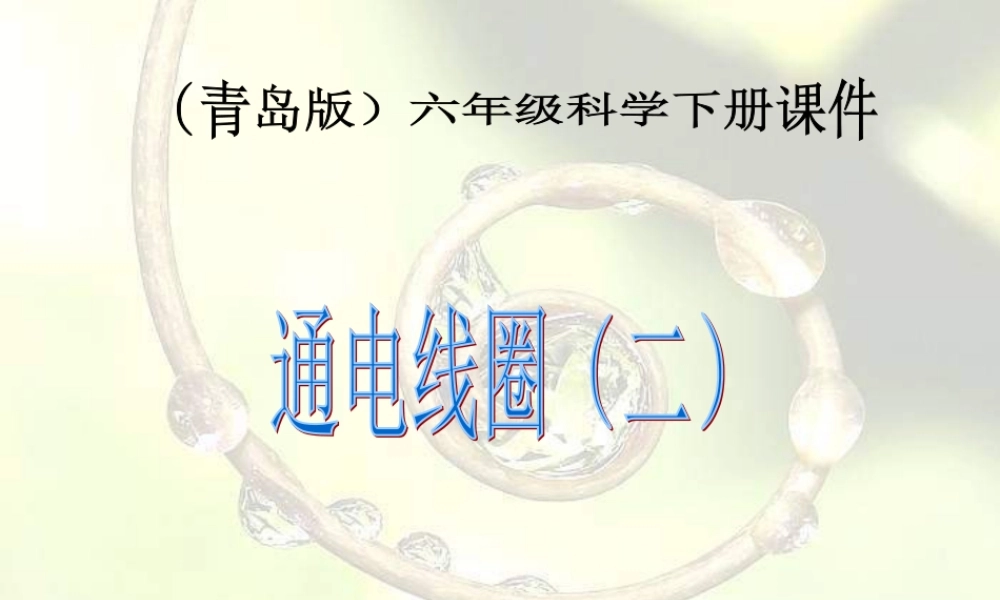 青岛小学科学六下《9、通电的线圈（二）》PPT课件 (3)【加微信公众号 jiaoxuewuyou 九折优惠 qq 1119139686】.ppt
