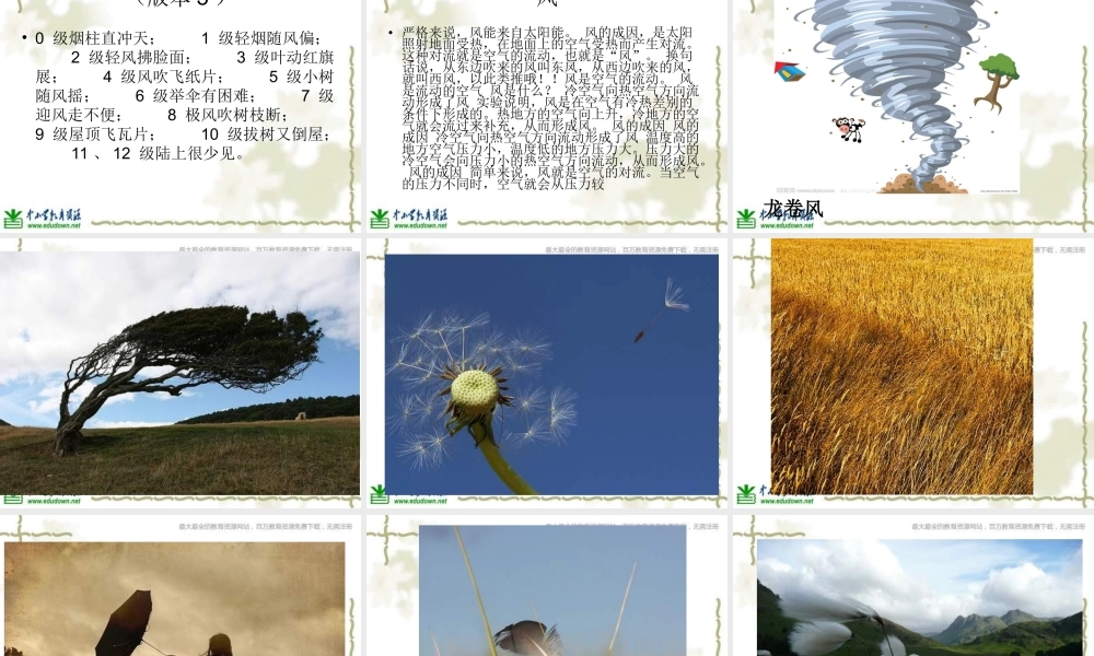 青岛小学科学六下《13、风从哪里来》PPT课件 (4)【加微信公众号 jiaoxuewuyou 九折优惠 qq 1119139686】.ppt