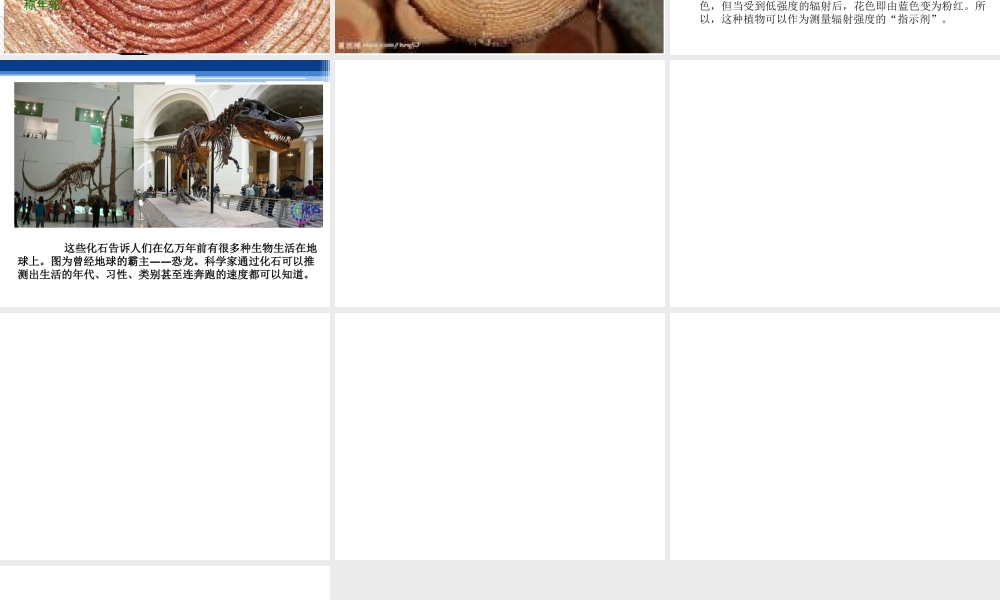 青岛小学科学六下《16、来自大自然的信息》PPT课件 (6)【加微信公众号 jiaoxuewuyou 九折优惠 qq 1119139686】.ppt