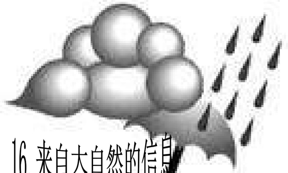 青岛小学科学六下《16、来自大自然的信息》PPT课件 (7)【加微信公众号 jiaoxuewuyou 九折优惠 qq 1119139686】.ppt
