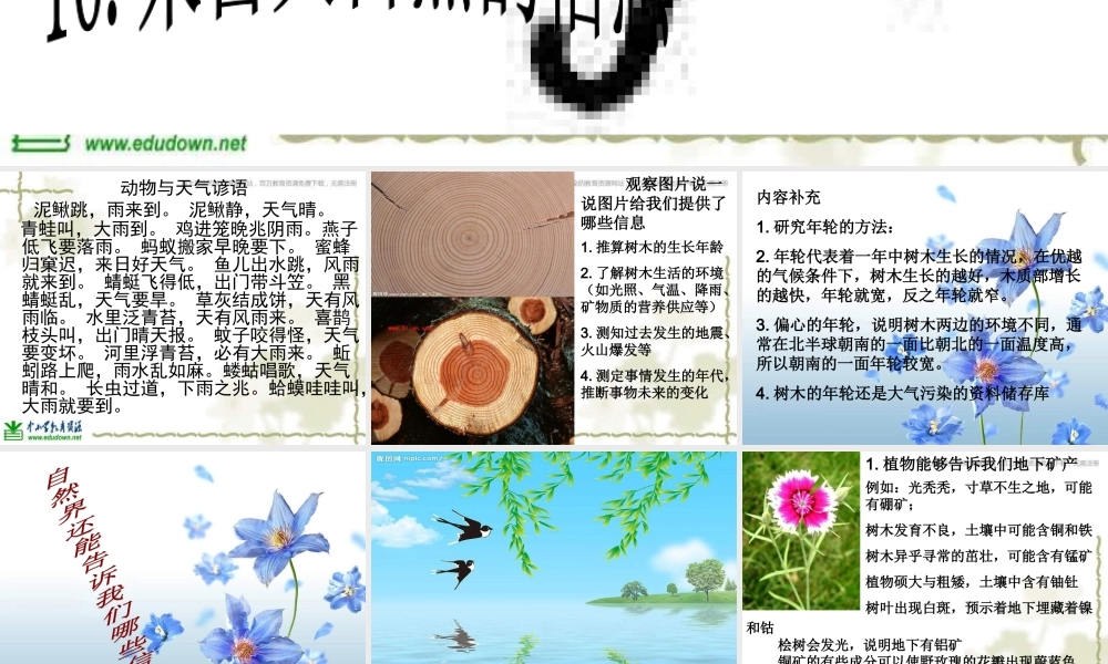 青岛小学科学六下《16、来自大自然的信息》PPT课件 (7)【加微信公众号 jiaoxuewuyou 九折优惠 qq 1119139686】.ppt