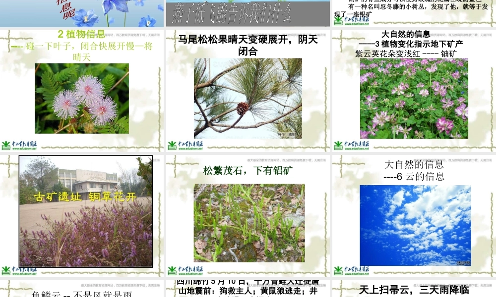 青岛小学科学六下《16、来自大自然的信息》PPT课件 (7)【加微信公众号 jiaoxuewuyou 九折优惠 qq 1119139686】.ppt