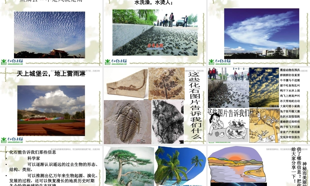 青岛小学科学六下《16、来自大自然的信息》PPT课件 (7)【加微信公众号 jiaoxuewuyou 九折优惠 qq 1119139686】.ppt