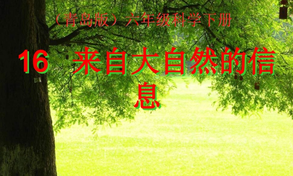 青岛小学科学六下《16、来自大自然的信息》PPT课件 (9)【加微信公众号 jiaoxuewuyou 九折优惠 qq 1119139686】.ppt