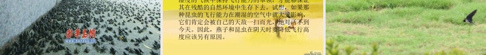 青岛小学科学六下《16、来自大自然的信息》PPT课件 (9)【加微信公众号 jiaoxuewuyou 九折优惠 qq 1119139686】.ppt