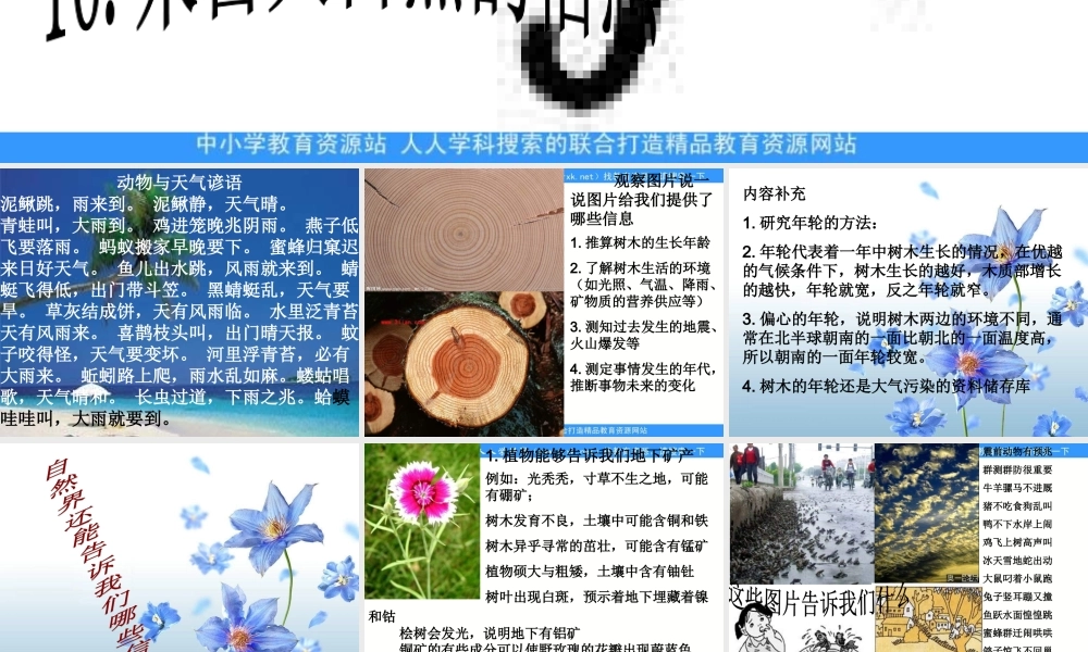 青岛小学科学六下《16、来自大自然的信息》PPT课件 (3)【加微信公众号 jiaoxuewuyou 九折优惠 qq 1119139686】.ppt